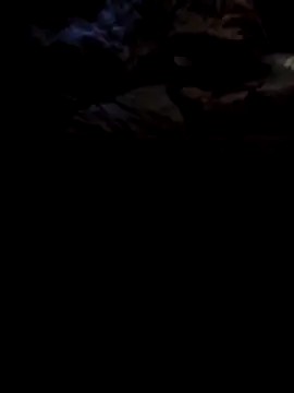 1990Mido online show from 04-13-26, 05:57