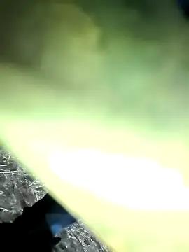 Snapshot of Realverse chatting on 11-21-25, 04:49 Realverse online show from 11-21-25, 04:49