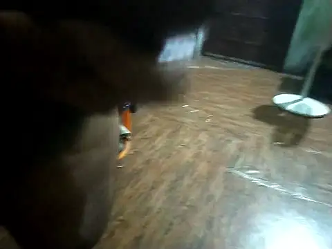 BdTinyDick online show from 11-11-25, 06:19