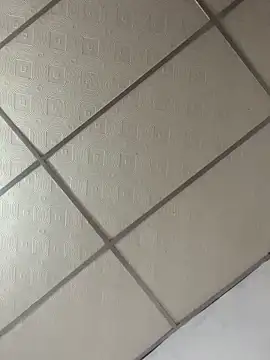 meliodas 23cm online show from 03-11-26, 04:40