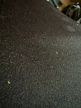 Snapshot of caramello-48888 chatting on 02-16-26, 06:15 caramello-48888 online show from 02-16-26, 06:15