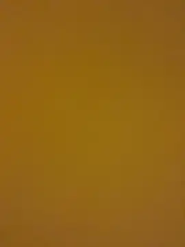 kentojp online show from 11-14-25, 01:43