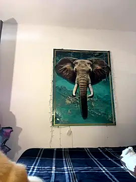 alisaa jhons1 online show from 12-14-25, 04:56