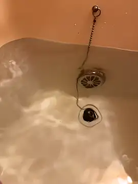 houkeiboy78 online show from 12-02-25, 10:31