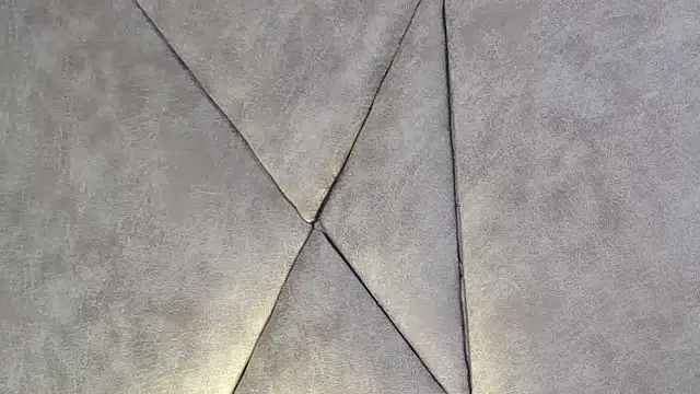 LannyShell online show from 12-17-25, 05:08