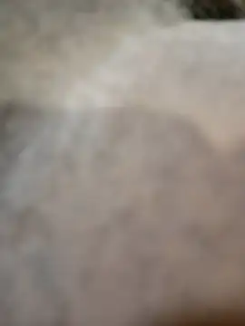 Telonet online show from 04-19-26, 10:14