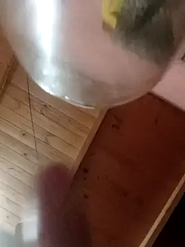 Camicam 04 online show from 11-16-25, 06:30