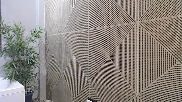 Noah dupont  online show from 11-20-25, 11:54