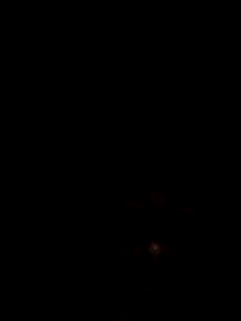 Joseerinaldo99 online show from 02-14-26, 02:08