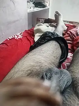 hyderabad single online show from 12-19-25, 06:04