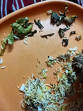 hyderabad single online show from 03-21-26, 05:49