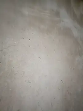 blonde blg online show from 03-14-26, 11:32