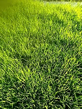 blonde blg online show from 04-12-26, 10:09