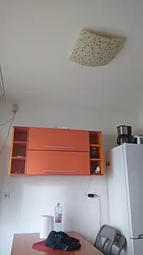 Snapshot of Dale_E chatting on 01-28-25, 08:36 Dale E online show from 01-28-25, 08:36