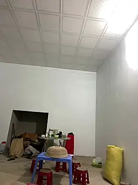 pitty mymi online show from 03-17-26, 11:19