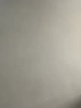 bigass256 online show from 03-29-26, 08:14