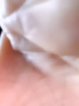 Cat-meow online show from 11-25-25, 02:44