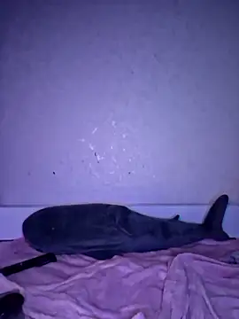 carolinakis  online show from 12-18-25, 08:26