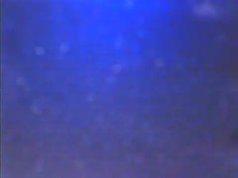 Sweet dove05 online show from 11-26-25, 04:46