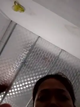 PamPii2x online show from 02-28-26, 02:56