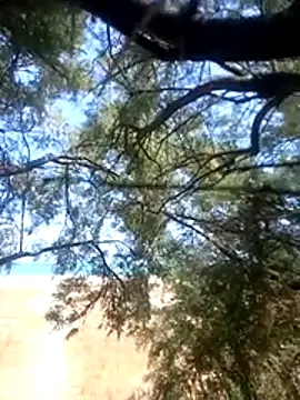Snapshot of nocosensual chatting on 07-14-26, 10:21 nocosensual online show from 07-14-26, 10:21