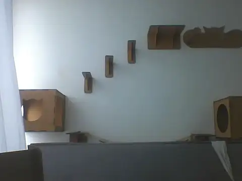 Temp7 online show from 02-21-26, 01:23