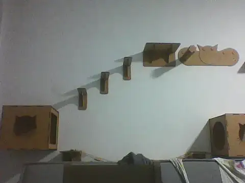 Temp7 online show from 02-25-26, 11:47