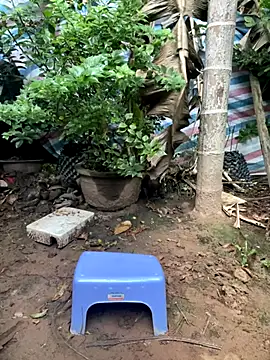 XndSeraphina online show from 12-03-25, 09:40