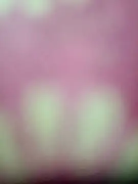 Nandani-758 online show from 01-17-26, 04:11