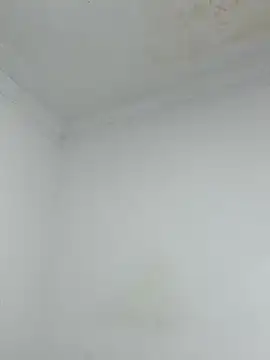  Pamela 1 online show from 12-17-25, 02:39