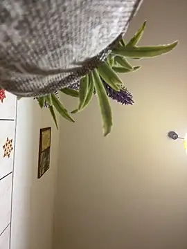 CrazyJessika online show from 03-09-26, 09:08