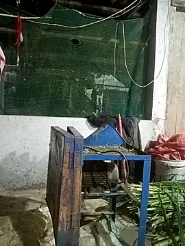 nangmo online show from 03-12-26, 11:22