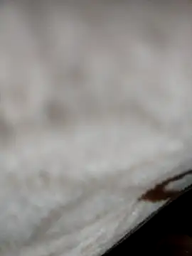 jiniya6789 online show from 01-05-26, 06:11