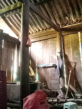 Lily-ross22 online show from 11-25-25, 05:07