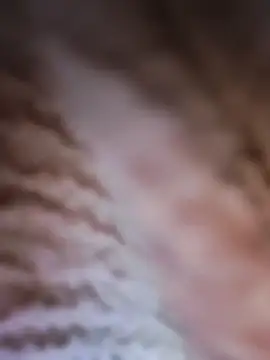 Snapshot of Punam_panjabi chatting on 02-28-26, 07:53 Punam panjabi online show from 02-28-26, 07:53