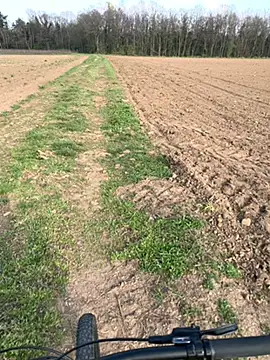 marconordic online show from 03-21-26, 03:04