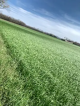 marconordic online show from 03-29-26, 01:11