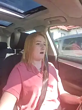 dixielarys online show from 04-06-26, 09:54