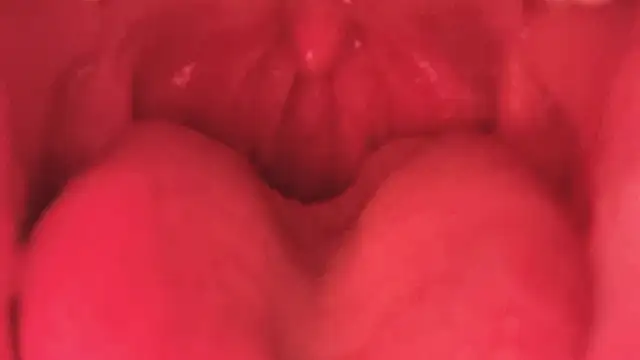 Snapshot of LT-333 chatting on 01-11-26, 03:50 LT-333 online show from 01-11-26, 03:50