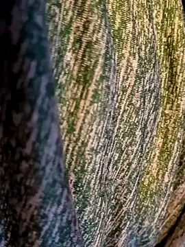 Snapshot of Bearclaw42069too chatting on 11-28-25, 07:16 Bearclaw42069too online show from 11-28-25, 07:16