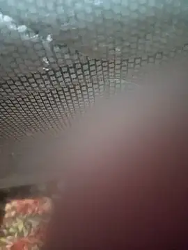 Snapshot of Ariee_199 chatting on 12-04-25, 10:29 Ariee 199 online show from 12-04-25, 10:29