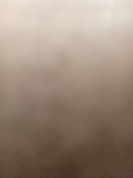 gatitachula93 online show from 03-01-26, 02:41