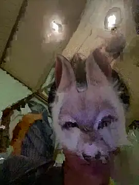 Snapshot of aotaro0721 chatting on 02-27-26, 04:01 aotaro0721 online show from 02-27-26, 04:01