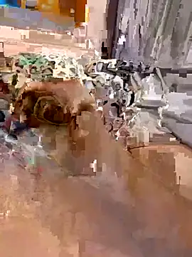 en93000 online show from 04-07-26, 05:41