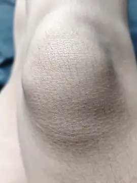 Miky Lyn online show from 02-18-26, 05:53