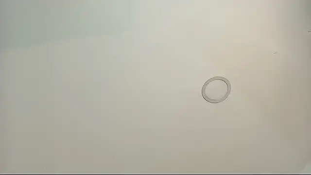 tamara walter online show from 02-13-26, 03:52