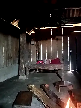 ava-dellght online show from 01-07-26, 02:14