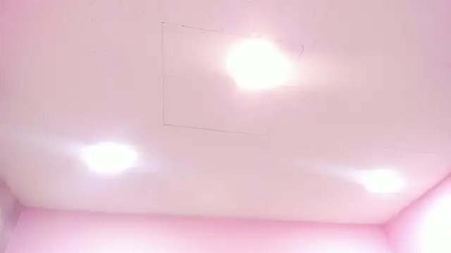 Tokio Bliss online show from 12-16-25, 12:54