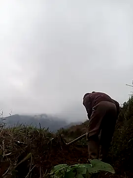 Snapshot of mon-monk chatting on 12-17-25, 01:11 mon-monk online show from 12-17-25, 01:11