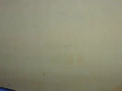 Exotic tanvi online show from 02-19-26, 04:14